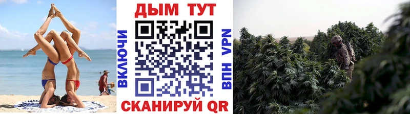 блэк спрут как зайти  Верещагино  Шишки марихуана тримм 